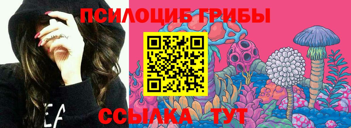 закладки  Псилоцибиновые грибы прущие грибы  Галлюциногенные грибы GOLDEN TEACHER  Вход с VPN  Алейск 