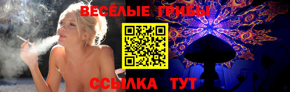 Галлюциногенные грибы Cubensis Алейск